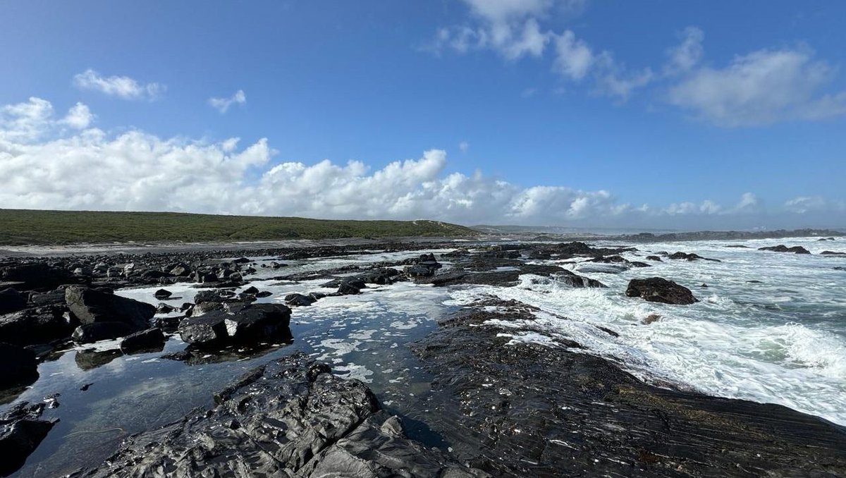 SpringfonteinE's tweet image. 📸 Explore the diverse locations of Springfontein Estate, including Pebble Bay! Learn about the ancient sea traps that used natural rock formations to catch fish sustainably in our blog: l8r.it/g9Wt #SpringfonteinEstate #PebbleBay #FilmingLocation #AncientHistory