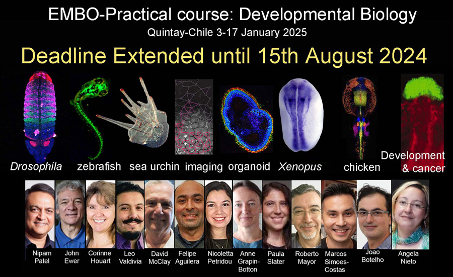 Do not miss the Quintay Developmental Biology Course!
You have time to apply: extended deadline 15th August 2024 !!
Fellowships to cover the cost are available.  
More info: biodesarrollo.unab.cl