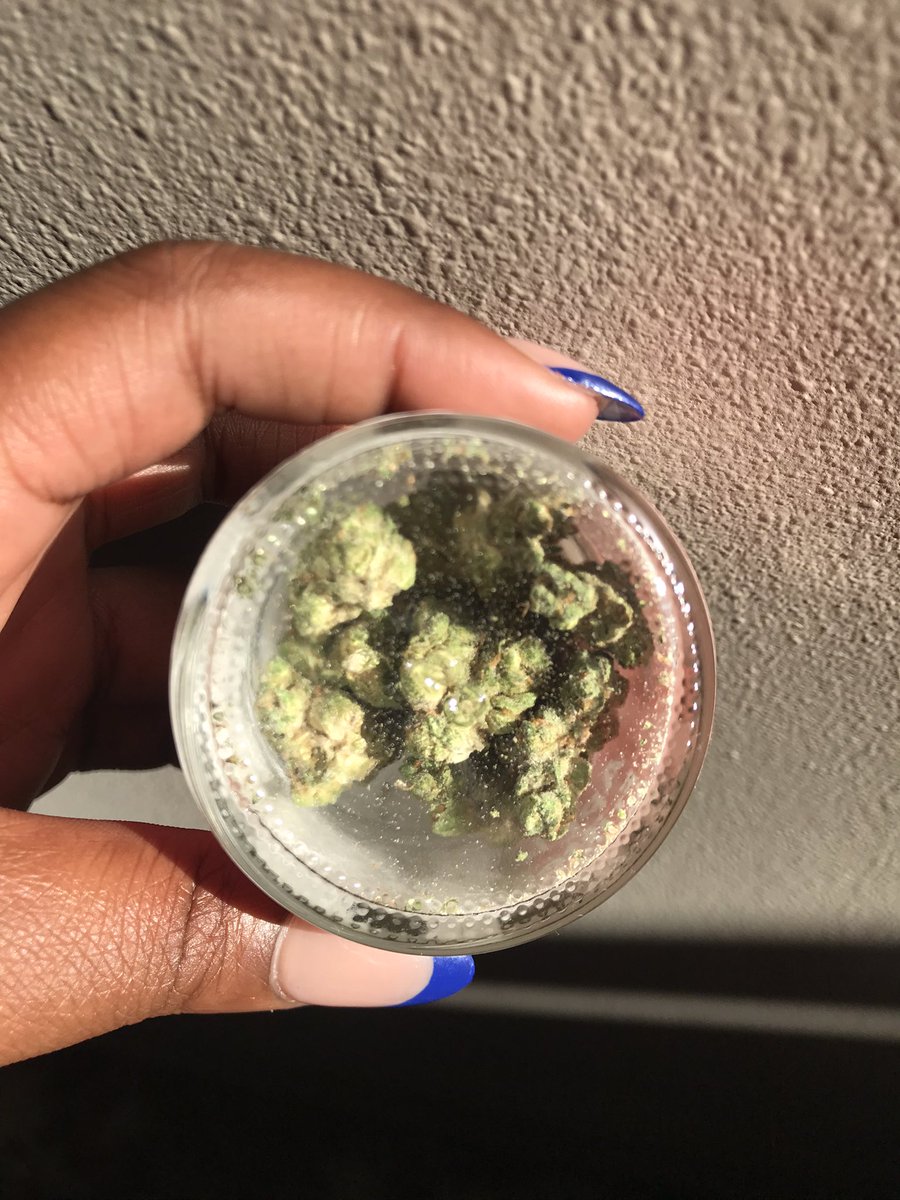 World Of Weed tweet media