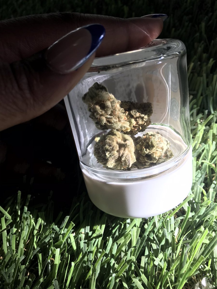 World Of Weed tweet media
