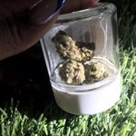 Photo by World Of Weed (@WorldofWeedRec)