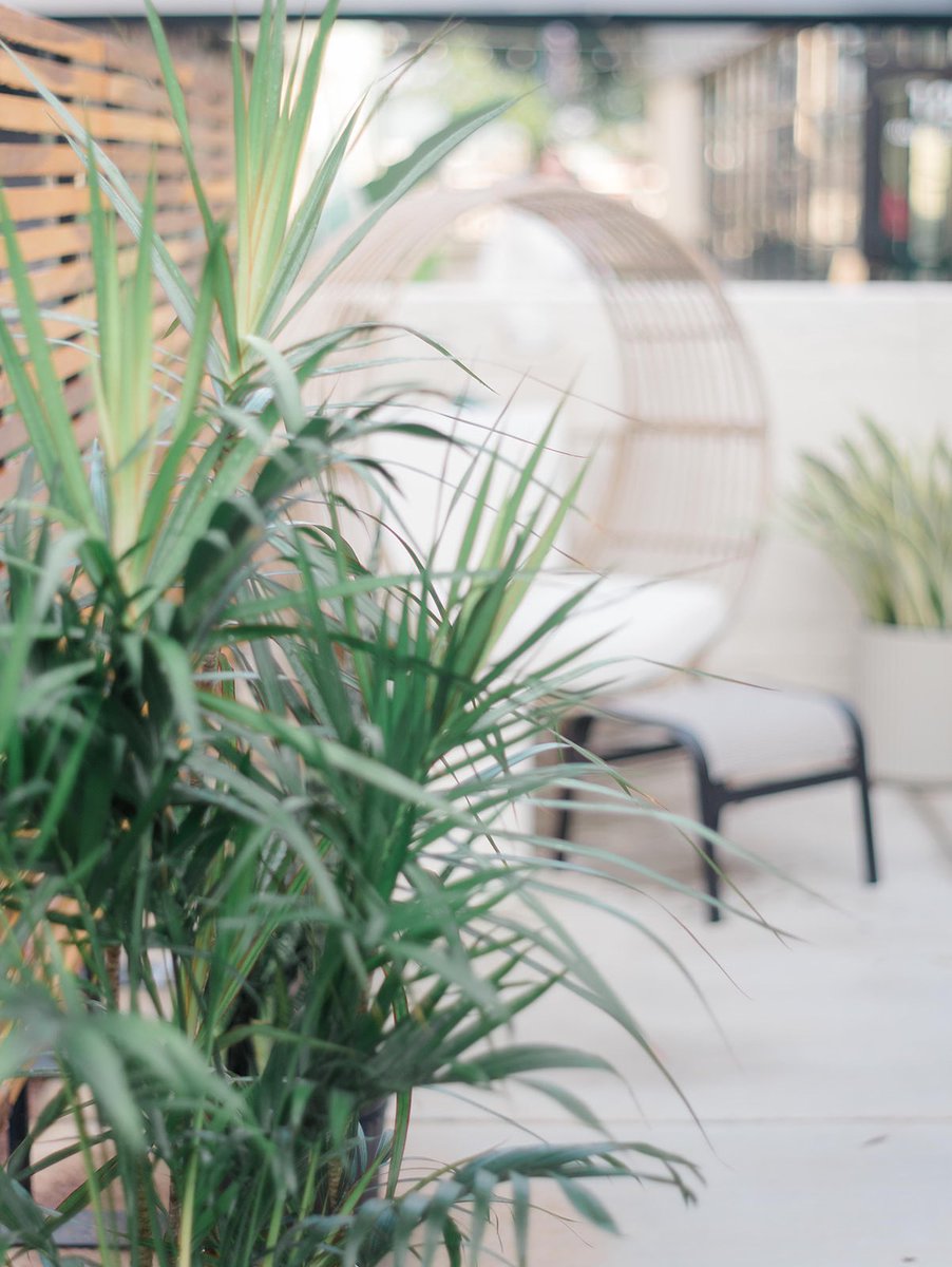 MoRA - Monroe Road Advocates tweet media