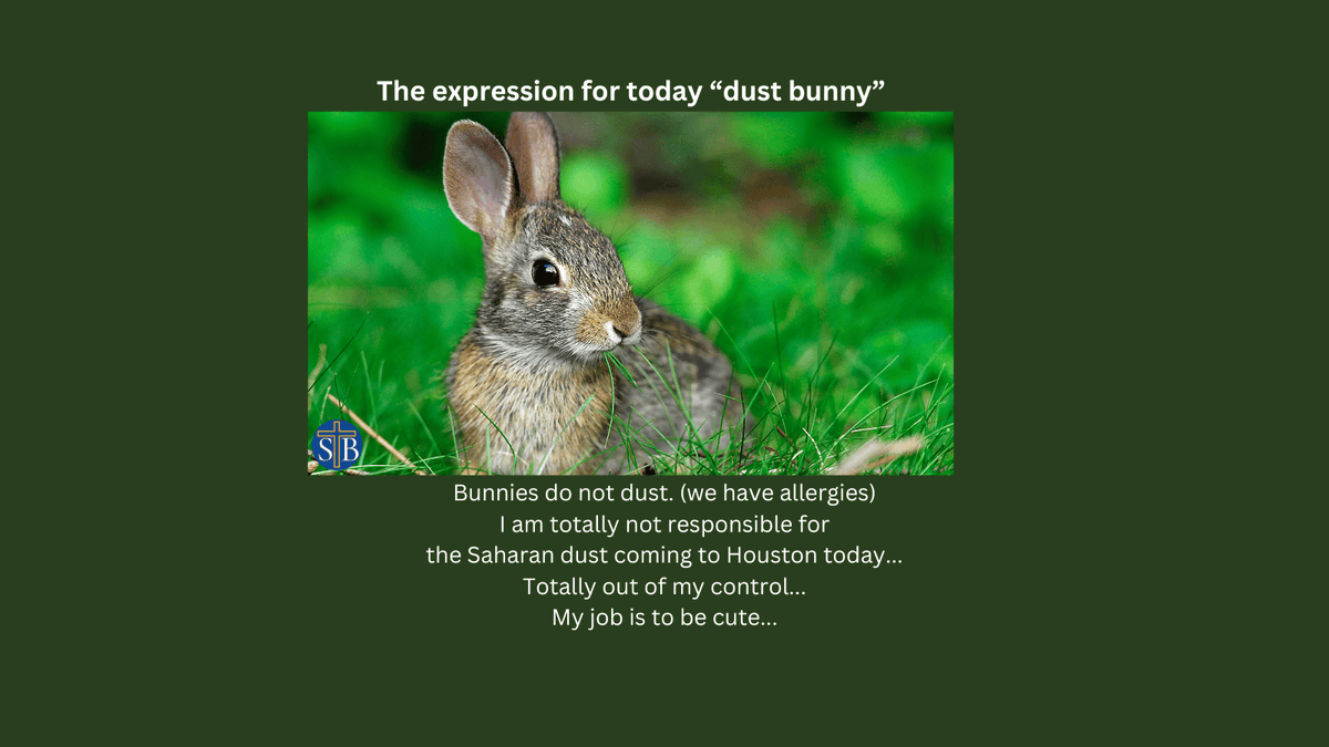 #SaharandustHouston