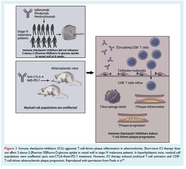 Eric H Yang, MD (@datsunian) on Twitter photo A herculean #cardioonc effort amongst experts in assembling this statement on the rapidly evolving landscape of CV toxicities in cancer immunotherapeutics.
Great resource to study more of what we don't know!
👏to colleagues and friends
<a href="/ESC_Journals/">European Society of Cardiology Journals</a>
doi.org/10.1002/ejhf.3… A herculean #cardioonc effort amongst experts in assembling this statement on the rapidly evolving landscape of CV toxicities in cancer immunotherapeutics.
Great resource to study more of what we don't know!
👏to colleagues and friends
<a href="/ESC_Journals/">European Society of Cardiology Journals</a>
doi.org/10.1002/ejhf.3…
