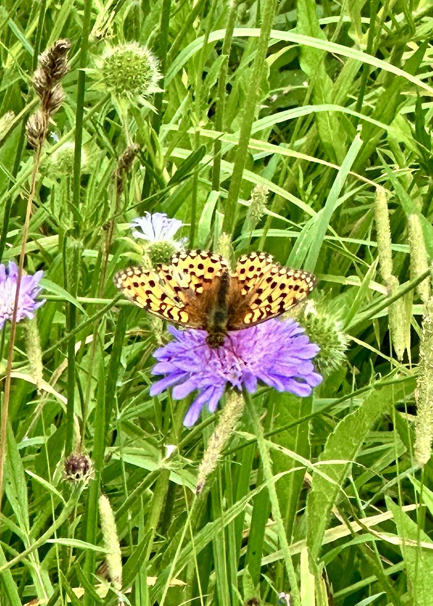 Dr Dan Danahar tweet media