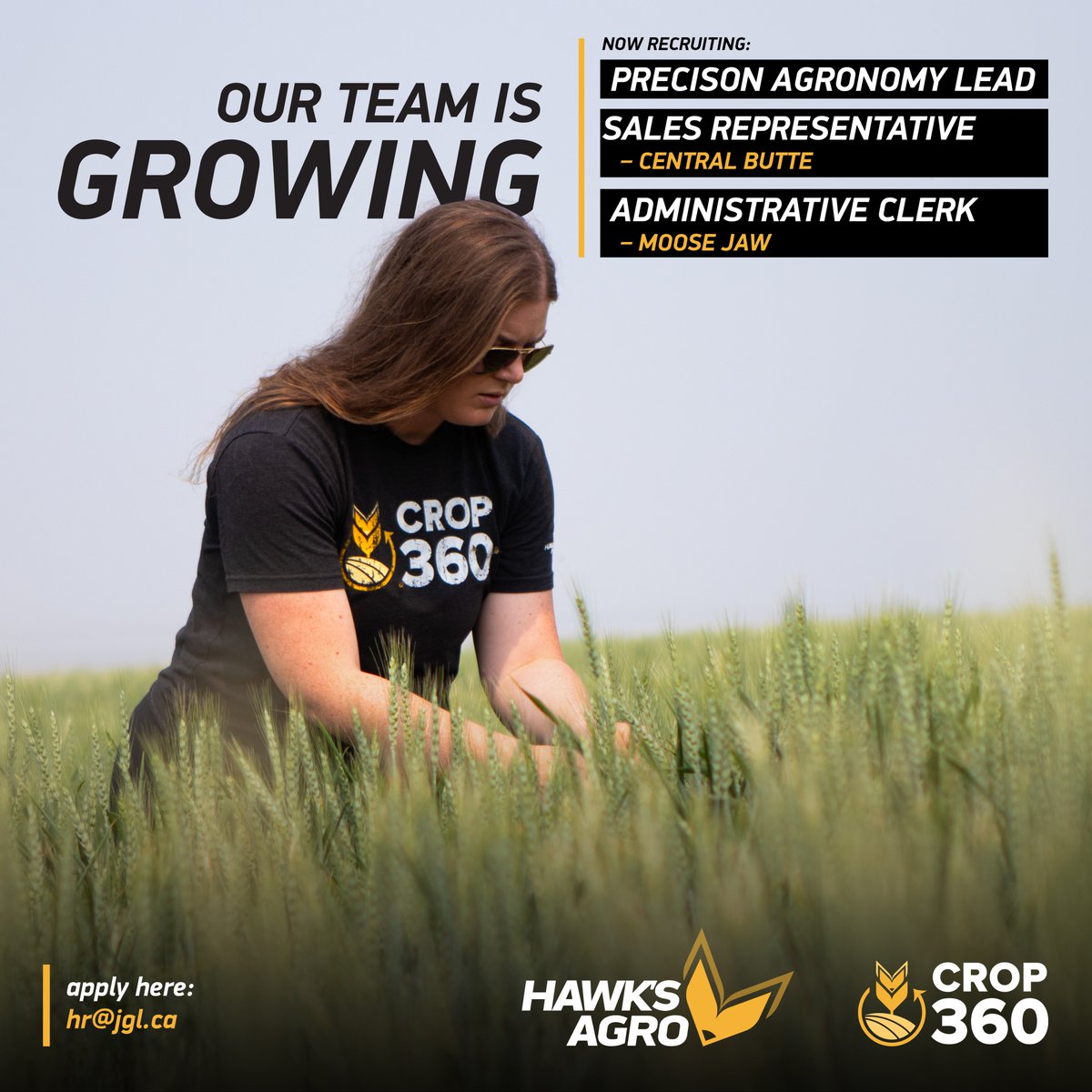 🌱 Passionate about agriculture? We're hiring! 🚜 Join our team and help growers succeed across our retail network. Explore these exciting roles and come build a lasting career with Hawk’s Agro. 

Apply today: jgl.ca/join-our-team/ 

#AgCareers #JoinOurTeam #AgricultureJobs