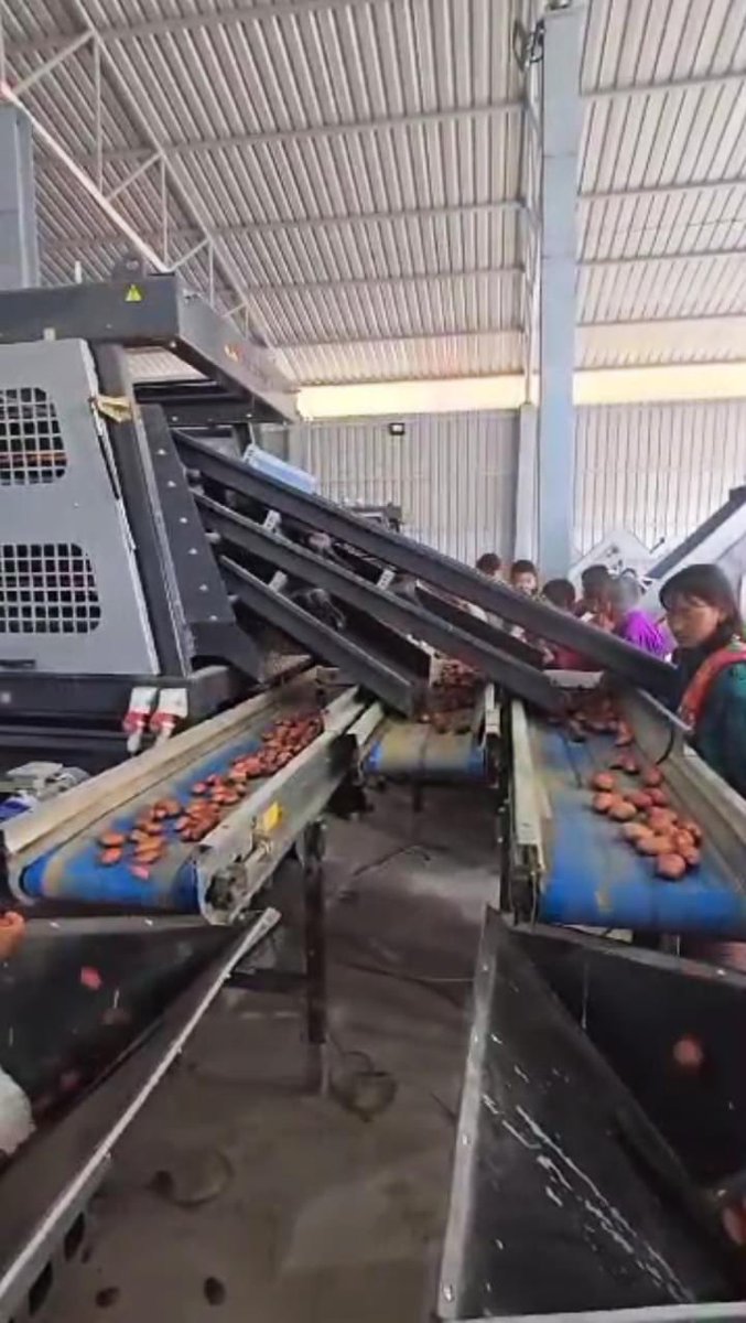 TodayBhutan's tweet image. 𝐒𝐭𝐚𝐭𝐞-𝐎𝐟-𝐓𝐡𝐞-𝐀𝐫𝐭 𝐏𝐨𝐭𝐚𝐭𝐨 𝐂𝐞𝐧𝐭𝐞𝐫 𝐭𝐨 𝐁𝐞 𝐚 𝐆𝐚𝐦𝐞-𝐂𝐡𝐚𝐧𝐠𝐞𝐫 𝐟𝐨𝐫 𝐋𝐨𝐜𝐚𝐥 𝐅𝐚𝐫𝐦𝐞𝐫𝐬

By Kezang Choden 

bhutantoday.bt𝐒𝐭𝐚𝐭𝐞-𝐎𝐟-𝐓𝐡𝐞-𝐀𝐫𝐭-𝐏𝐨𝐭/

#Bhutan #bhutantoday #stateofart #potatofarming #localfarmers