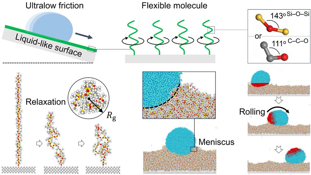 LeiZhangASIPI's tweet photo. Utilizing MD simulations, our findings reveal that droplets on the burgeoning surfaces grafted with flexible PDMS or PFPE brushes can generate wetting ridges. This provides the first molecular-scale evidence of their liquid-like nature. Check it out!https://t.co/1EbrAVyNtA https://t.co/nlxtPW6Ea5