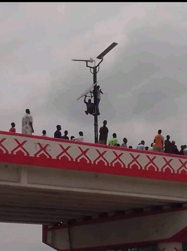 fattylincorn_01's tweet photo. If you have strength to climb poles, then you aren't hungry but a thie*f🤣🤣🤣 https://t.co/6cgW6cOHUr