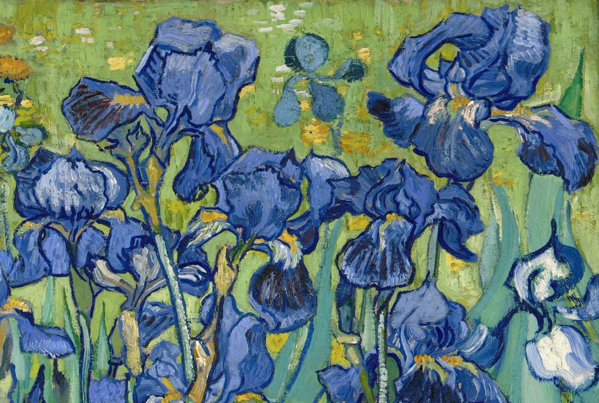 Vincent van Gogh's flowers