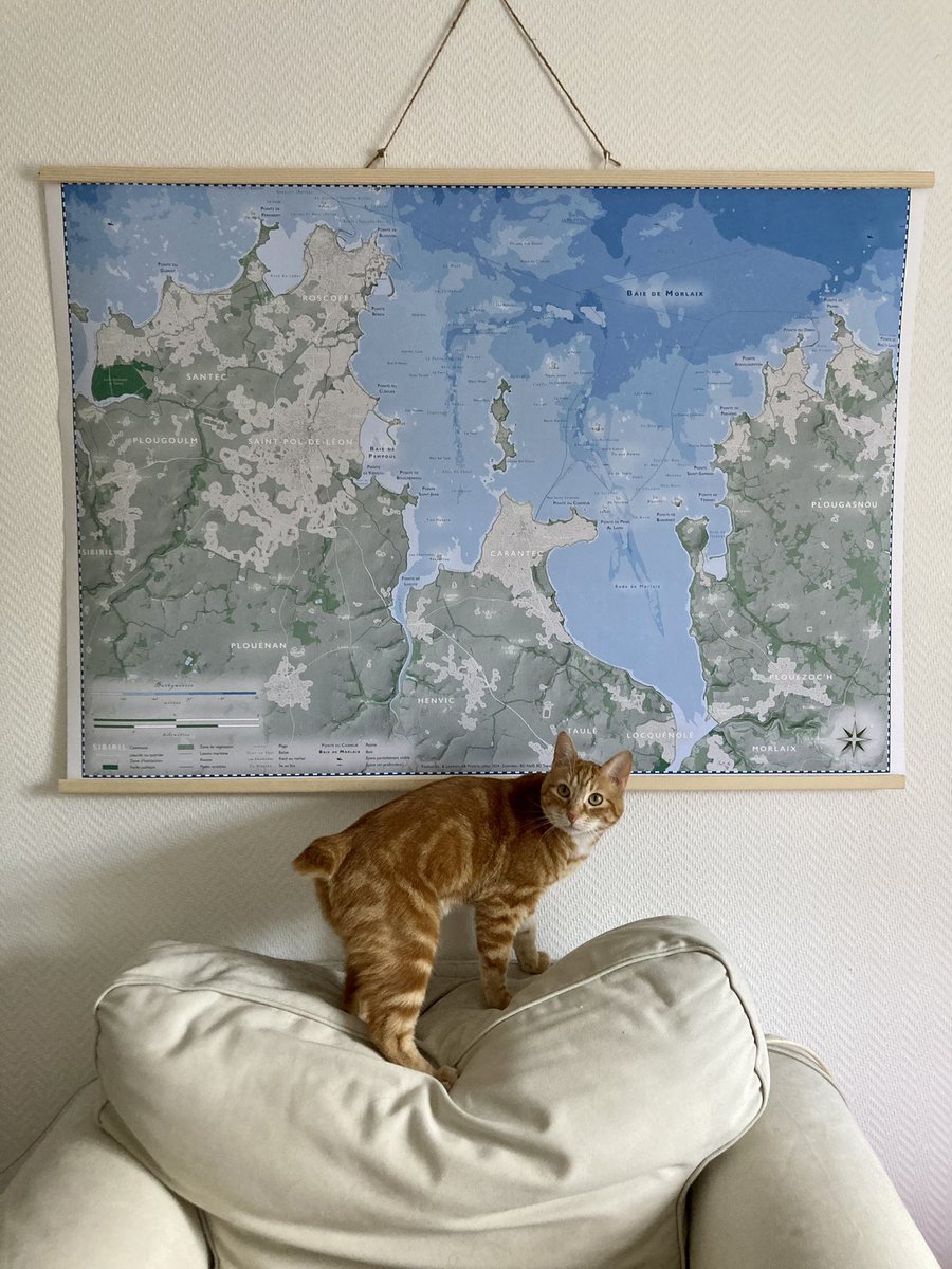 Blanche Lambert tweet media