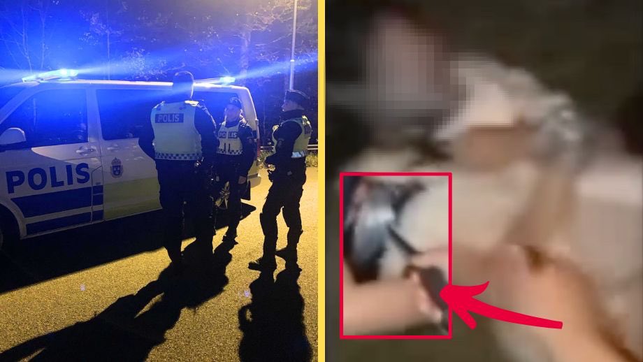 herqles_es's tweet photo. 🇸🇪 | Una niña sueca de 14 años ha sido torturada y asesinada en Landskrona por un grupo de niñas de origen iraquí. 

Poco después de medianoche del martes 23 de julio, una patrulla policial encontró accidentalmente a una niña de 14 años inconsciente en la antigua estación de tren de Landskrona.

La policía determinó que la niña había sido sometida a graves torturas y humillaciones. Una hora y media después, la niña fue declarada muerta en el hospital.

La policía arrestó a dos niñas de origen iraquí en edad de secundaria sospechosas de estar involucradas tanto en el secuestro como en el asesinato.

Posteriormente se difundió en internet un vídeo de asesinato, donde se pudo confirmar que las asesinas son musulmanas e hicieron varias referencias a "Allah" durante el asesinato. 

https://t.co/3tsPqQzSQs