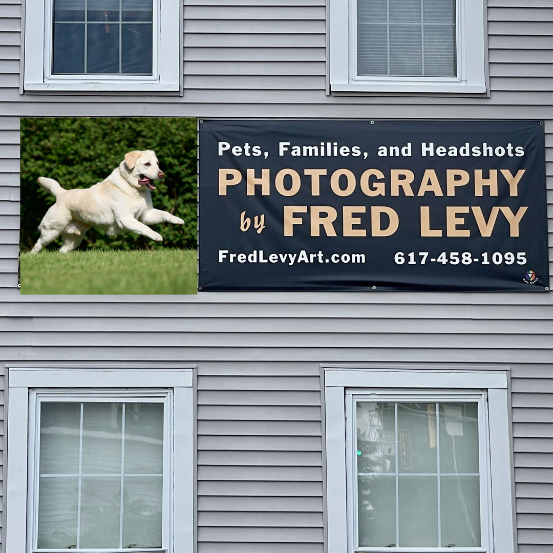 fredlevyart's tweet photo. Thanks everyone who responded to my last post. I got some really great response from everyone and have narrowed it down to these four. I'm thinking the first, running lab, will stand out the most. I really love the Corgi photo too but I'm not sure. What do you think? https://t.co/zA0FJ7pS2T
