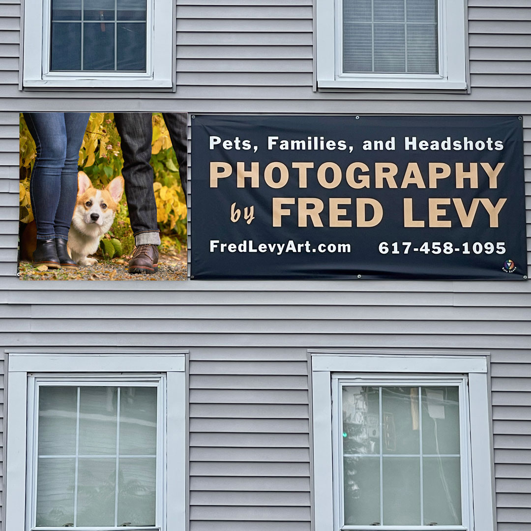 fredlevyart's tweet photo. Thanks everyone who responded to my last post. I got some really great response from everyone and have narrowed it down to these four. I'm thinking the first, running lab, will stand out the most. I really love the Corgi photo too but I'm not sure. What do you think? https://t.co/zA0FJ7pS2T