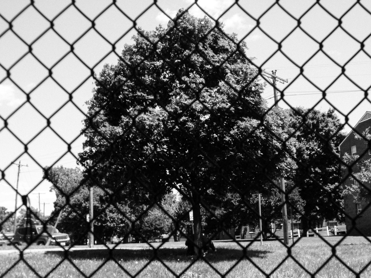 Kelvin Cross Jr tweet media