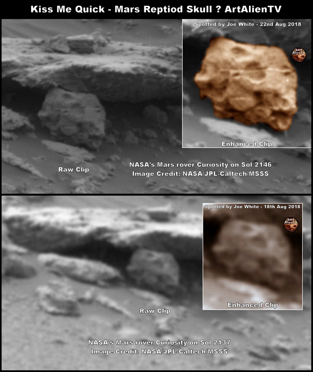 ArtAlienTV's tweet photo. https://t.co/EqjdE7EVzz
What looks like a calcified reptoid on Mars. Also a possible reptoid statue. From Curiosity and Opportunity Rover images. The possible reptoid head is human sized, the other around half size. #mars #reptoid #skull https://t.co/u73UcABUqN