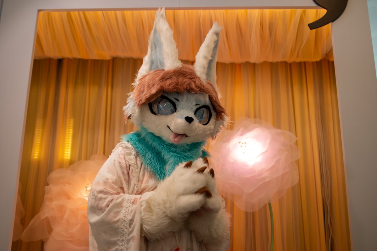 NairoOxO's tweet image. 「咳咳...你準備好跟我一起亂跑了嗎,人類桑?」
*搓手手

📸: @PinPonCC 
-------------------------------------------------
#Fursuit
#FursuitFriday
-------------------------------------------------
好久沒毛拍囉,想拍了:3