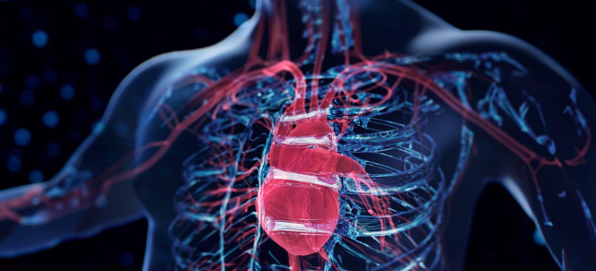 NYU Grossman School of Medicine (@nyugrossman) on Twitter photo A new <a href="/nyulangone/">NYU Langone Health</a> study demonstrates the potential of artificial intelligence (AI) to create patient-friendly explanations, as long as reviewed by a physician. Read here: nyulangone.org/news/ai-tool-c…
✍️ Dr. Lior Jankelson, MD, PhD (<a href="/ExtraStim/">Lior Jankelson</a>) and <a href="/JakeMartinMd/">Jake Martin</a>
<a href="/JACCJournals/">JACC Journals</a> A new <a href="/nyulangone/">NYU Langone Health</a> study demonstrates the potential of artificial intelligence (AI) to create patient-friendly explanations, as long as reviewed by a physician. Read here: nyulangone.org/news/ai-tool-c…
✍️ Dr. Lior Jankelson, MD, PhD (<a href="/ExtraStim/">Lior Jankelson</a>) and <a href="/JakeMartinMd/">Jake Martin</a>
<a href="/JACCJournals/">JACC Journals</a>