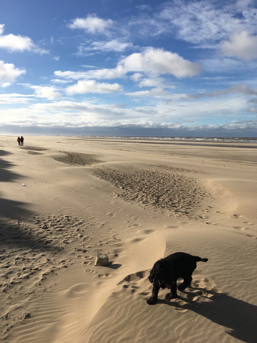 TheLiamB's tweet photo. @michael_merrick Great post, this is Formby, Sefton https://t.co/L8GkB0VN77