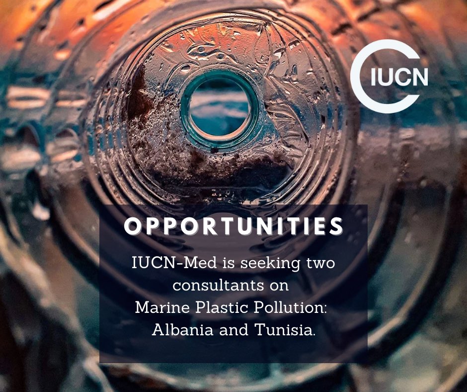 IUCN-Med is seeking two consultants for separate State-of-the-Art Reviews of Scientific Studies on #Plastic Pollution, one for #Albania and the other for #Tunisia. 

📅 24/08/24
 
🔗 Albania #Consultancy: iucn.org/sites/default/…
🔗 Tunisia Consultancy: iucn.org/sites/default/…