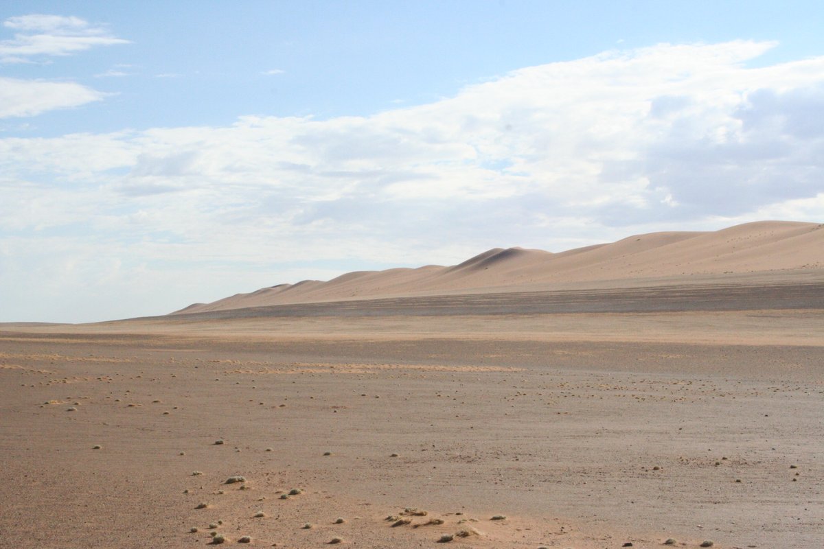 Manchester Geography tweet media