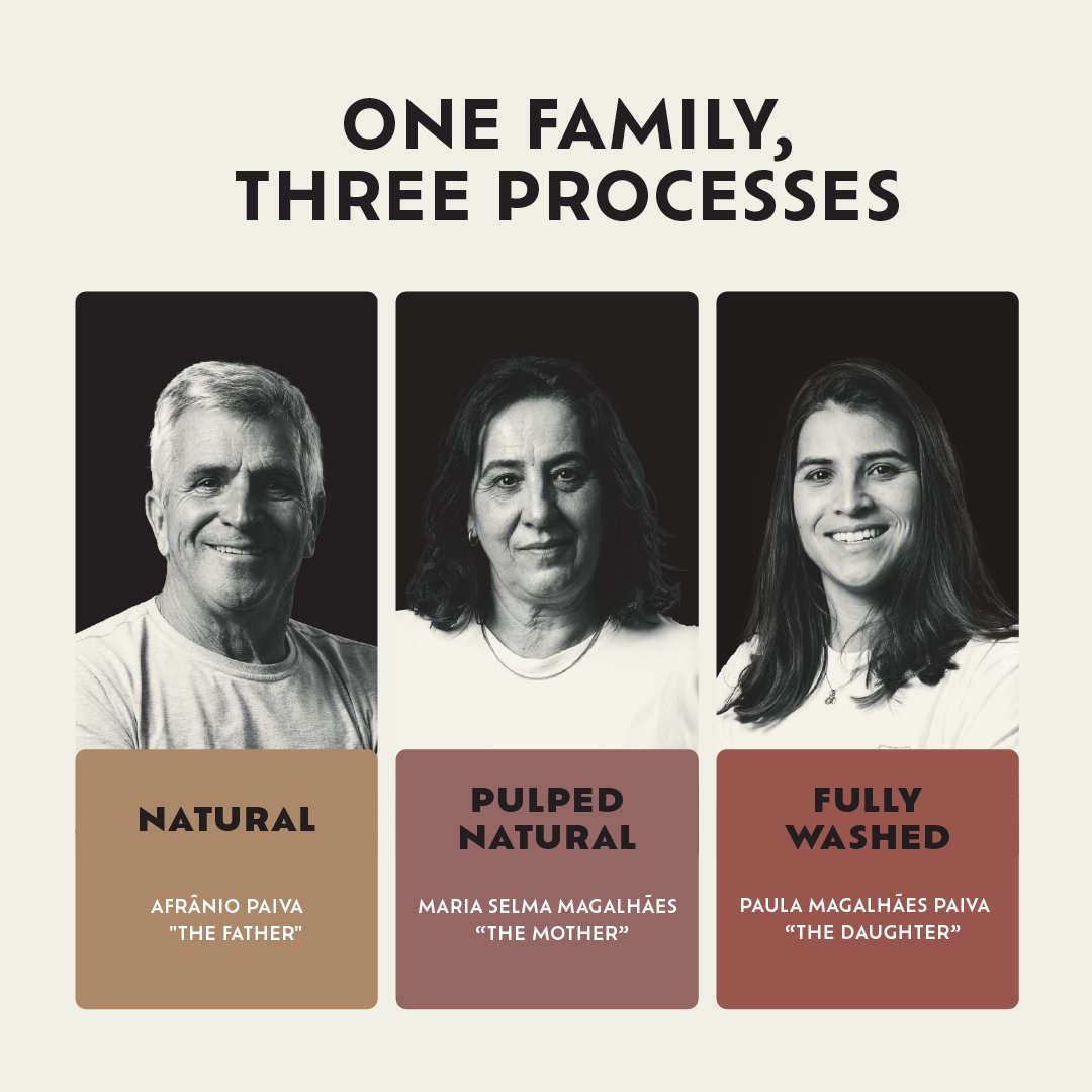 Casa Brasil Coffees tweet media