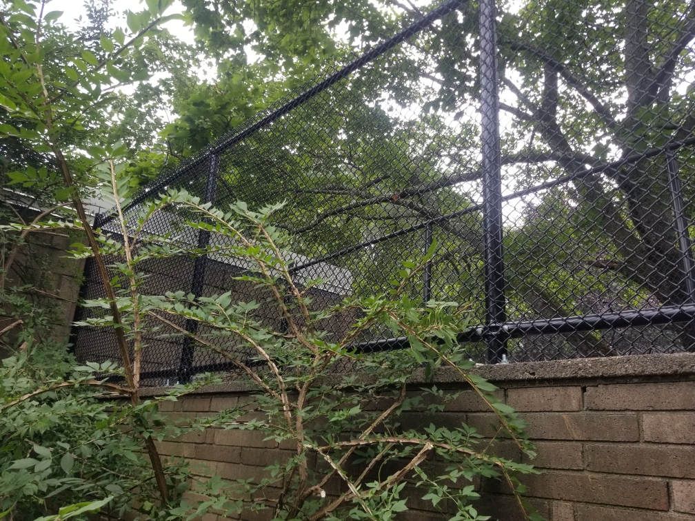 Foxfencenj's tweet photo. HEALTHCARE BUILDINGS FENCING SOLUTIONS
EDUCATION BUILDINGS FENCING SOLUTIONS
GOVERNMENT BUILDINGS FENCING SOLUTIONS
DOMESTIC BUILDINGS FENCING SOLUTIONS
PARKING LOT FENCING SOLUTIONS
GREEN CONSTRUCTION FENCING SOLUTIONS

https://t.co/VB7a2vvBwB https://t.co/hako6bJ4KL