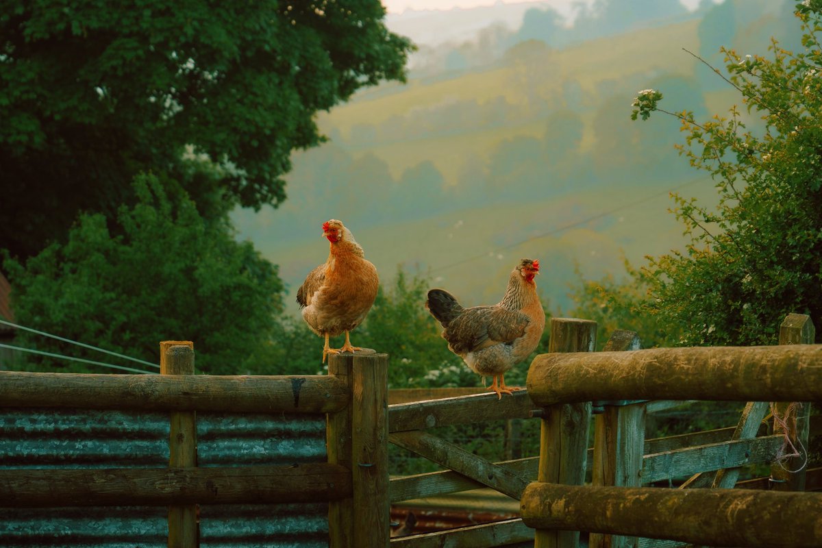 Daniel Casson (@danielcasson1) on Twitter photo 