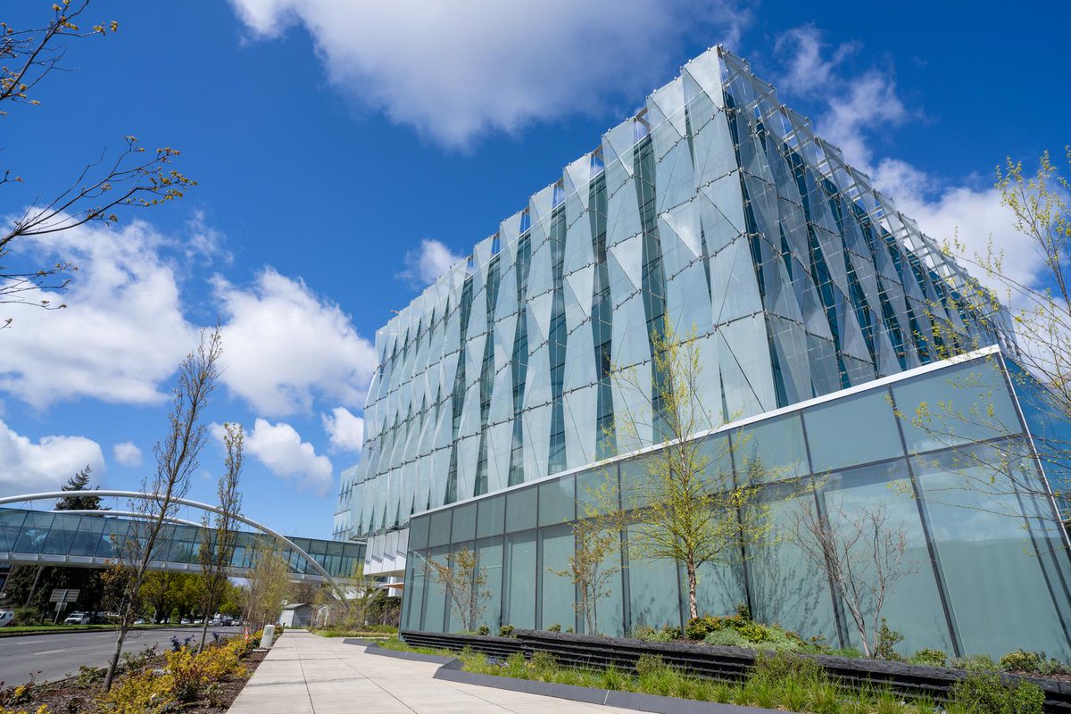 🎶 I wanna touch the silver lining we'll be shining everywhere. 🎶

#GoDucks | #B1GWelcome