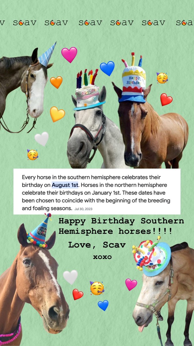 Scav would like to wish a very happy birthday to each and every horse born in the southern hemisphere!!
🐎💝 🦄🥳🐴🎂