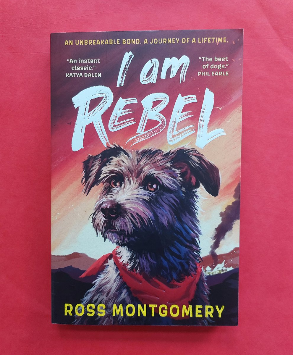 Beaumont Library (@beaulibrary) on Twitter photo Scouting for September # 6: 'I Am Rebel' by <a href="/mossmontmomery/">Ross Montgomery</a>. Another of the fab books we've read in the hols and will be adding to our shelves! <a href="/BeaumontSchStA/">Beaumont School</a> readers are in for a treat as Rebel, the canine hero of this exciting and pacy adventure, tells a terrific tale! 😊📚🐾 Scouting for September # 6: 'I Am Rebel' by <a href="/mossmontmomery/">Ross Montgomery</a>. Another of the fab books we've read in the hols and will be adding to our shelves! <a href="/BeaumontSchStA/">Beaumont School</a> readers are in for a treat as Rebel, the canine hero of this exciting and pacy adventure, tells a terrific tale! 😊📚🐾