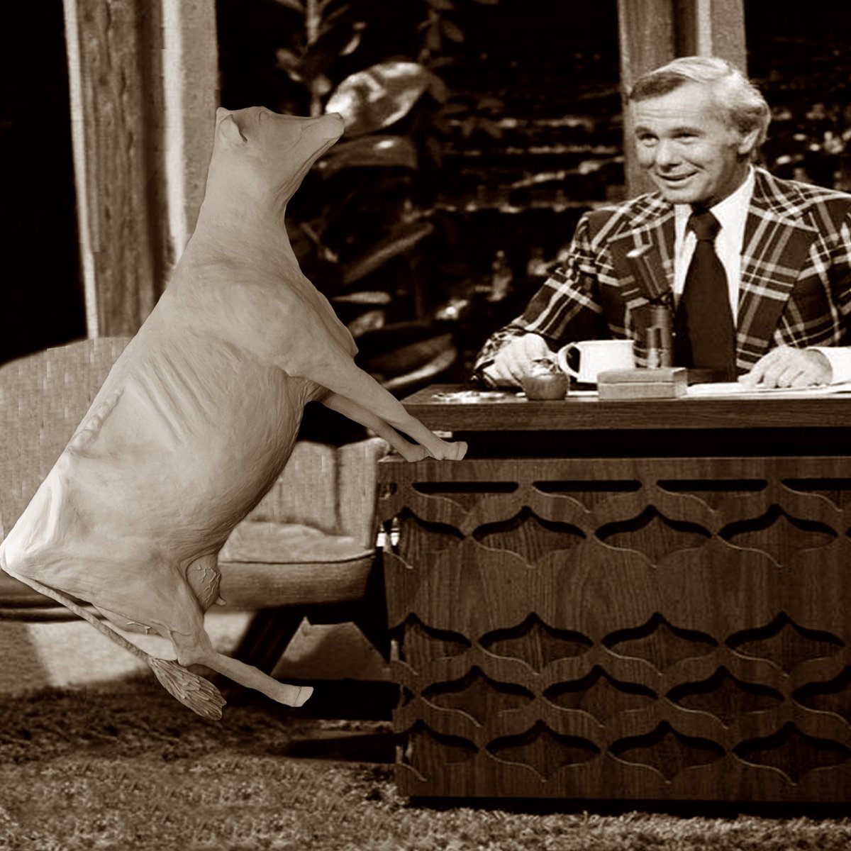 ISF_ButterCow's tweet photo. #TBT to my multiple appearances on the Tonight Show https://t.co/EBbdbOhTCd