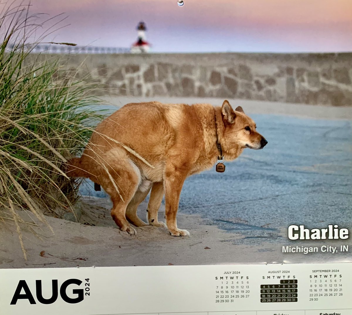 Wojtek Kubarek tweet media