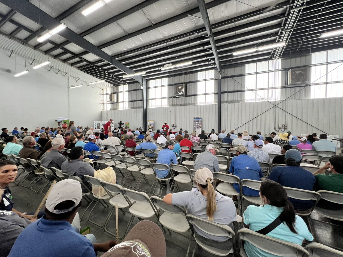 AR Rice Board tweet media