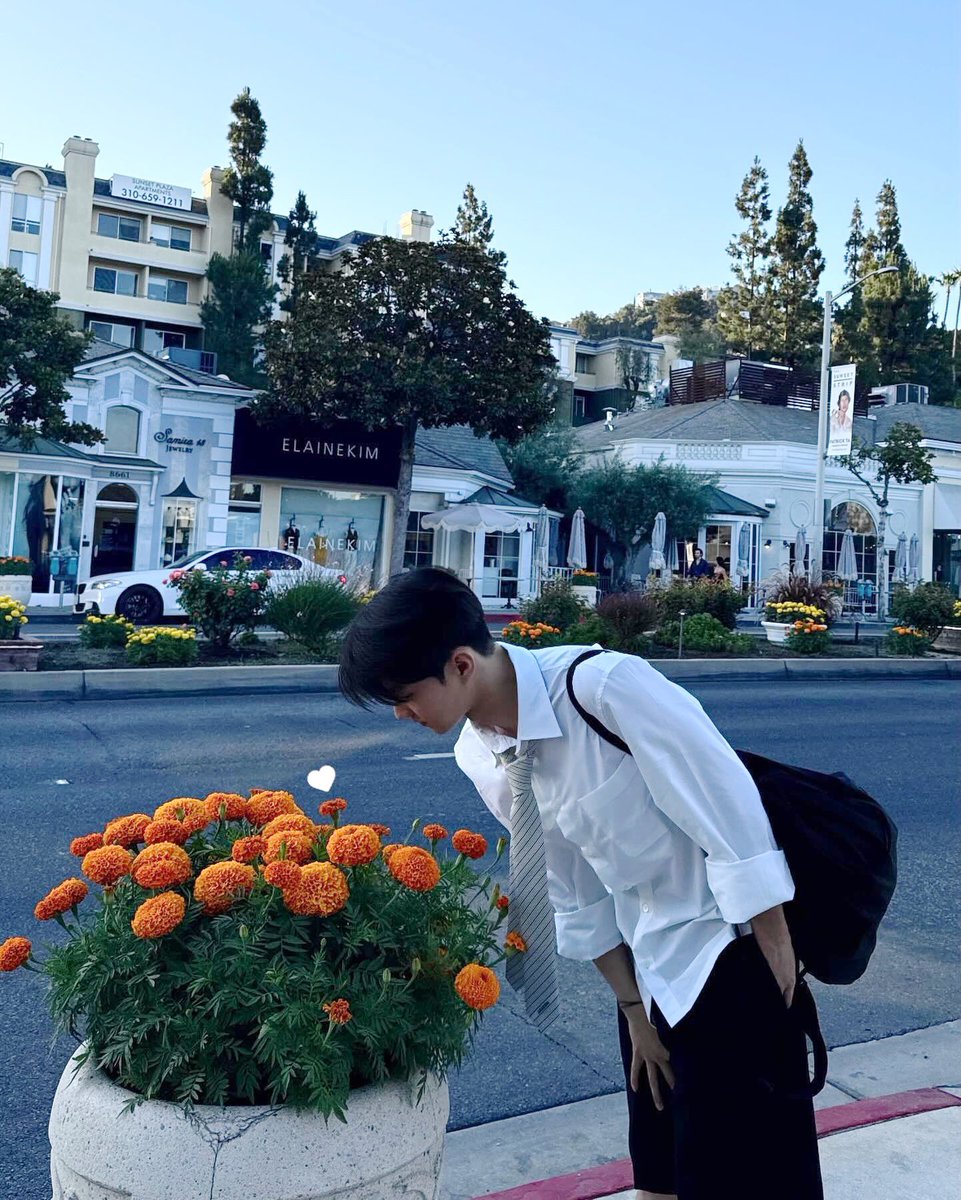 앙상필 tweet media