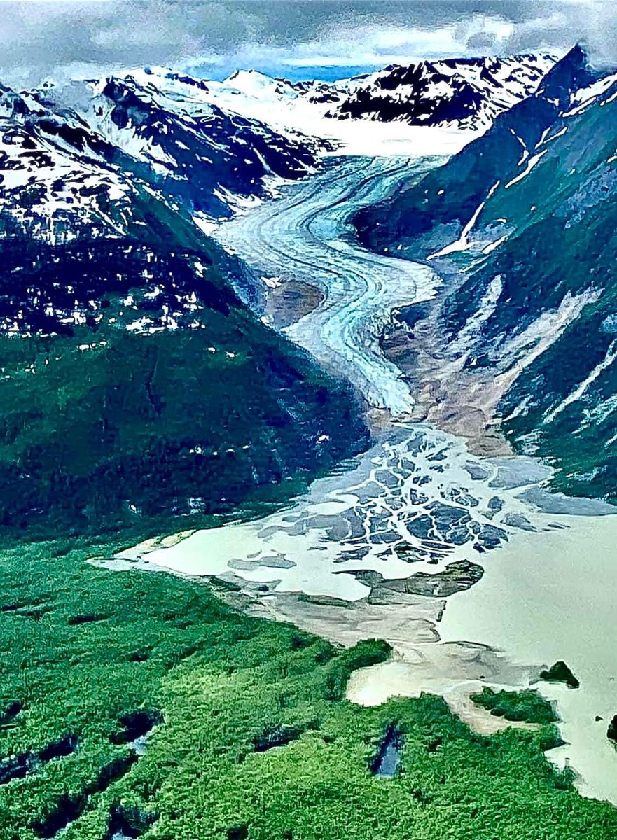 aloha_alaska's tweet image. Thank you Victor, so very appreciated, (I&apos;m honored to have you for a follow too!)
You are indeed a true favorite #DemocracyDefender  🏆