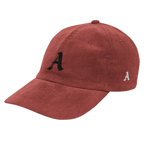cryptothattweet's tweet photo. @TheHustleEmpire Can I sell the congress those hats? Here’s a prototype https://t.co/5VFJF5yBBF
