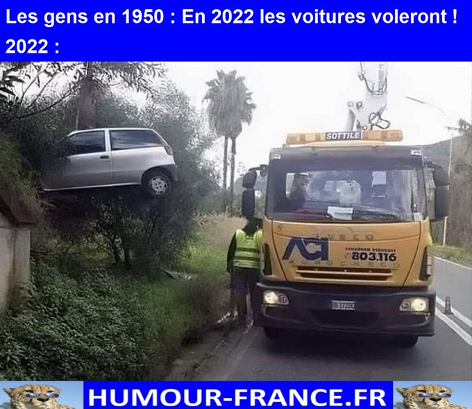 text alternatif