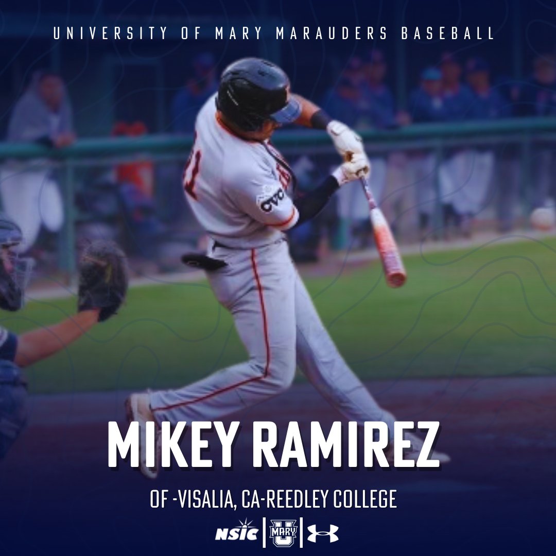 UMARY Baseball tweet media