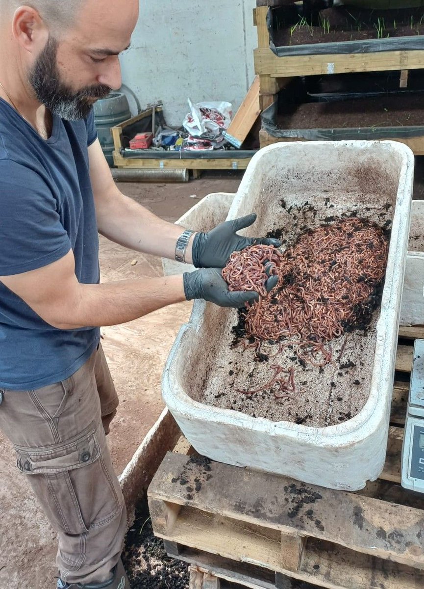 Keywater Fisheries tweet media