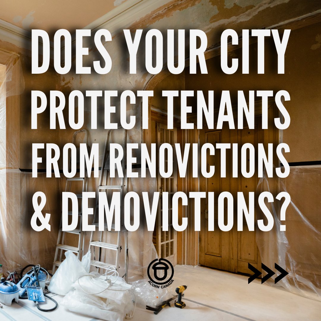 ACORN Canada tweet media