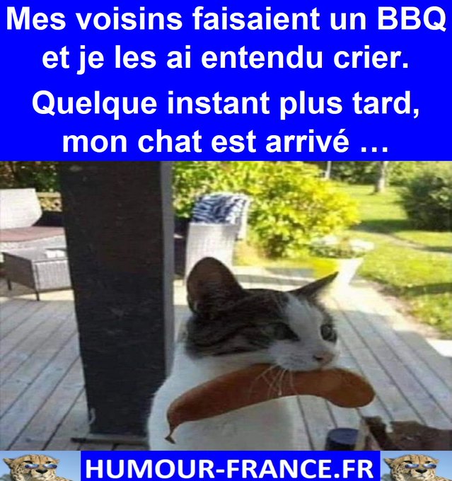 text alternatif