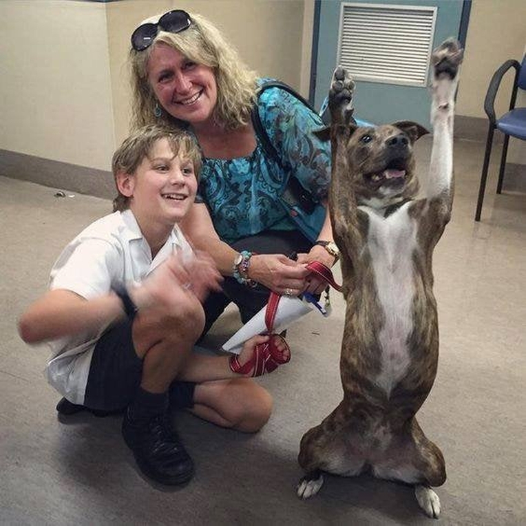A shelter dog celebrating her adoption 💕 What a beautiful moment!