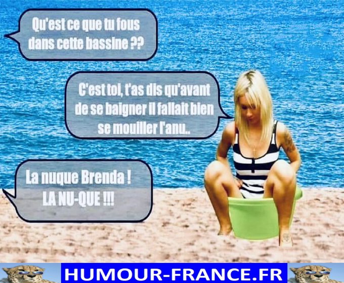 text alternatif