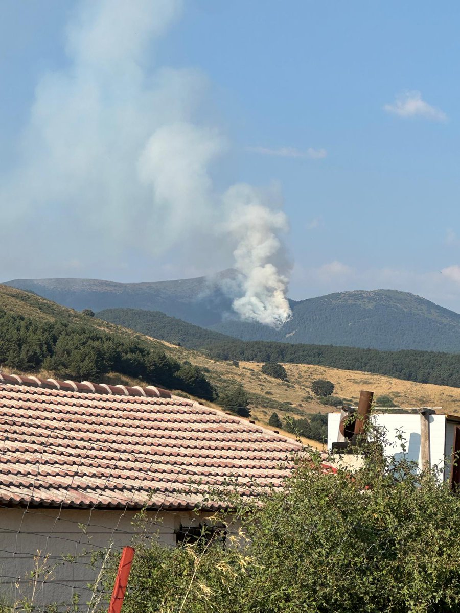 Incendios Forestales Castilla y León tweet media