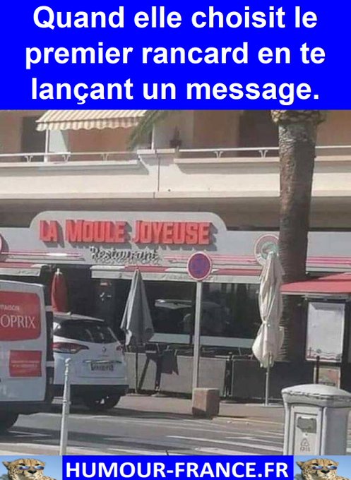 text alternatif