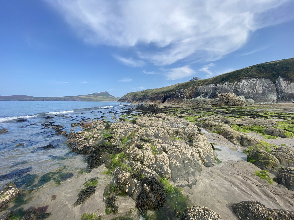 Ian Beesley tweet media