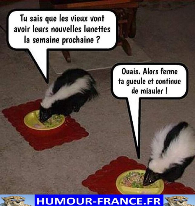 text alternatif