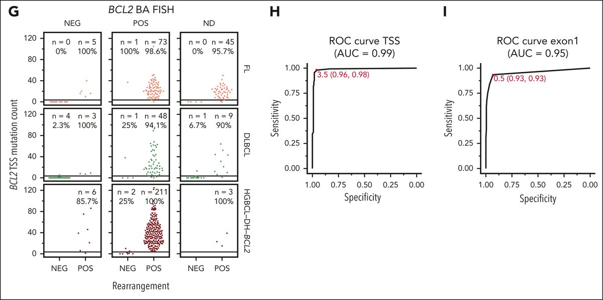 lk_hilton's tweet photo. But first, we looked at BCL2-R across FL, DLBCL, and HGBCL-DH-BCL2. BCL2-R are remarkably consistent. We show that somatic hypermutation (SHM) of BCL2 only occurs in BCL2-R and is a very accurate proxy for the presence of a BCL2-R. https://t.co/rJkHTLq9TN