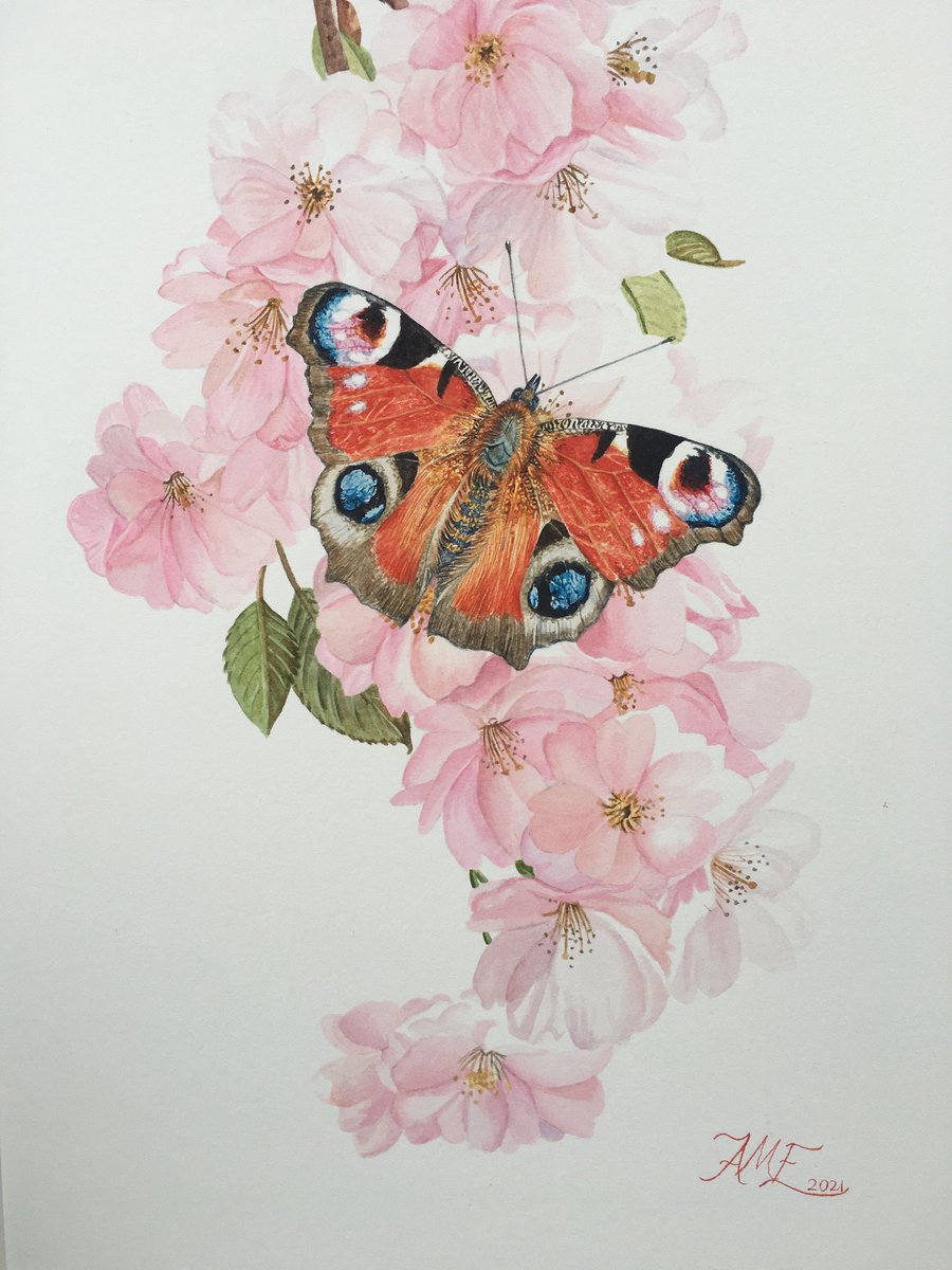 Hoping to experiment + explore my style more and spend more time in the field.

Expect some low quality field sketches and studies to start with  as I find my feet.

In the mean time, I'll post some artwork you guys didn't get to see before I stopped.

This is from 2021 :)